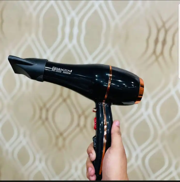 Professional | Hair Dryer | Model | RE-2028